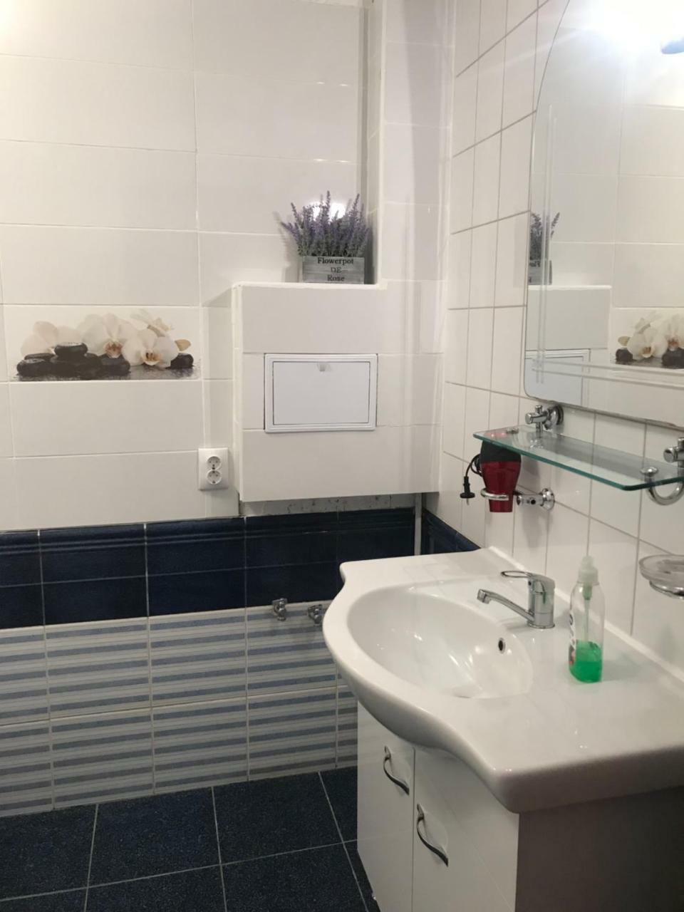 Floreasca Ambient By Acme Rent 부쿠레슈티 외부 사진